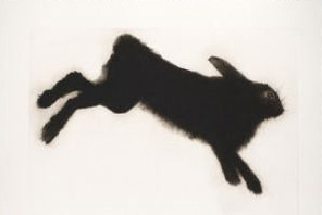 A black rabbit in motion